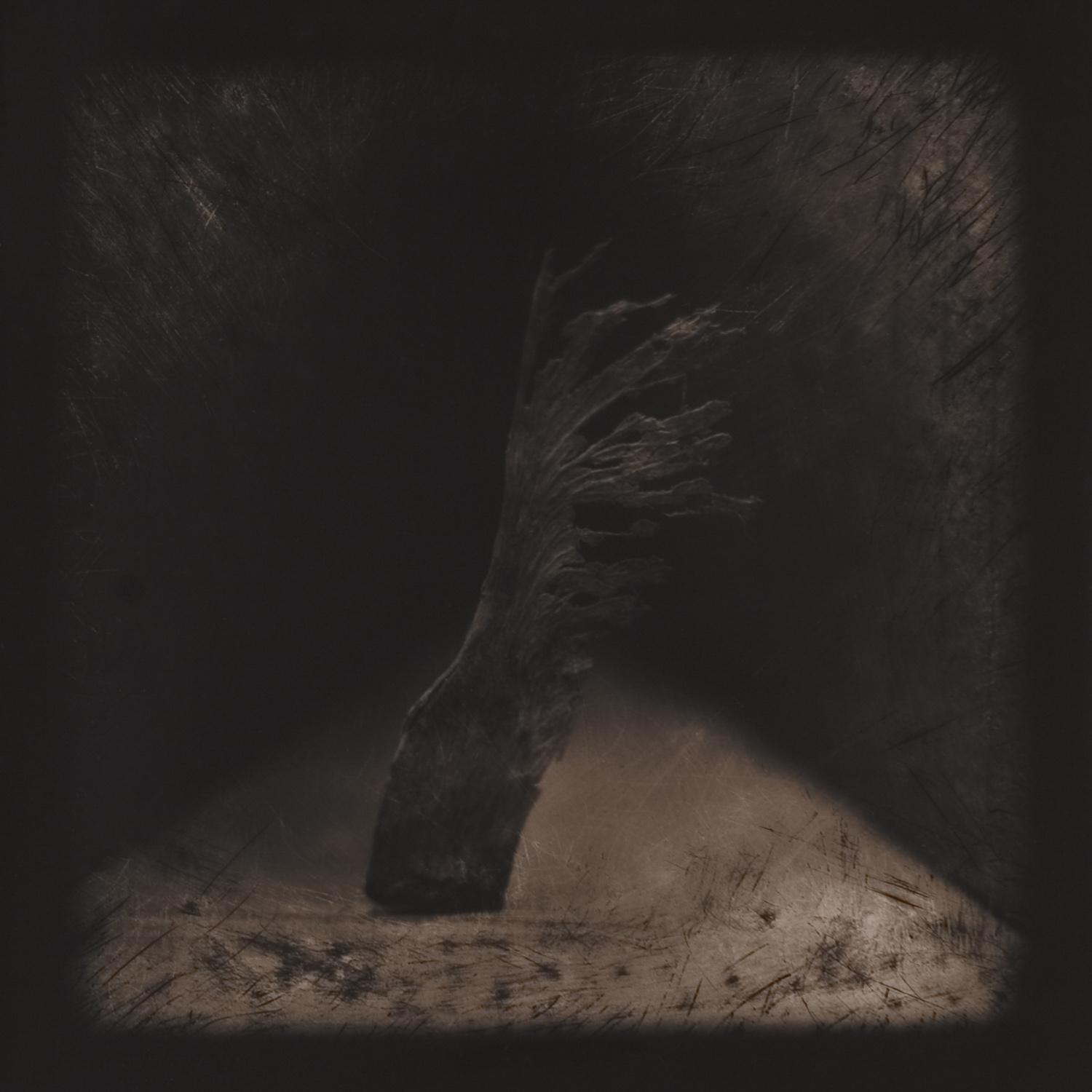 from the series Tales